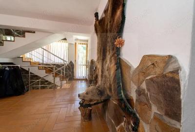 Pensiune de excep?ie de vanzare Moeciu de Sus, Bra?ov - 2