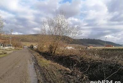 Teren de 4050 mp, în Ceuaș - 4