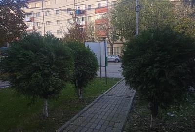 Spa?iu Comercial Modern 3 camere Primul Chiria? Dupa Renovare 49 mp - 2