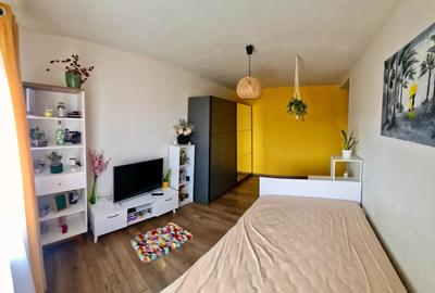 Proprietar vand apartament cu o camera Lipovei - 4
