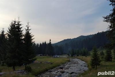 Teren de 500 mp, în Brădet - 1