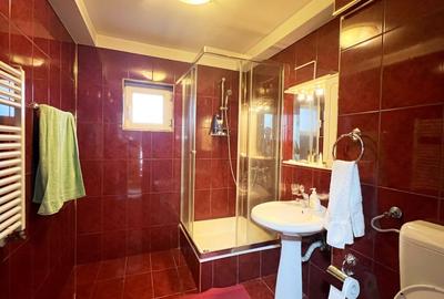 Casa individuala 5 camere I Posibil spatiu comercial I 300 mp I Parcul Lacul Tei - 20