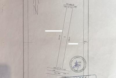 Teren Construcții extravilan de 5008 mp, în Săcueni - 1