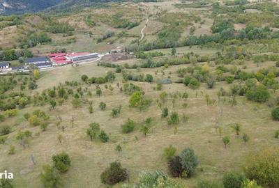 Spațiu comercial, în Berevoești - 6