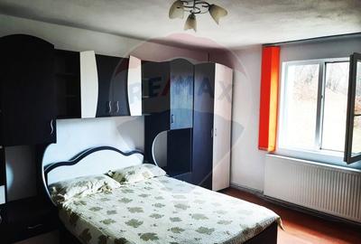 Casă individuală cu 7 camere cu Teren 3580 Mp în Tohănița - 9