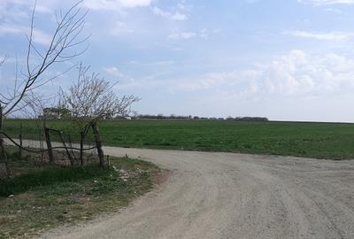 Techirghiol, teren 450mp, 20 m deschidere, str. Pericle Macri colt cu Plantelor - 3