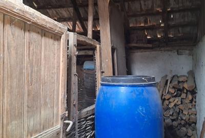 Vand casa teren 3000mp satul Gresia, Rosiorii de Vede, Teleorman - 13