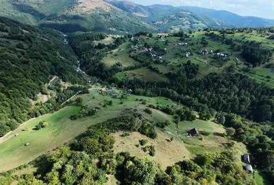 Teren de 10000 mp, în Răchițele - 2