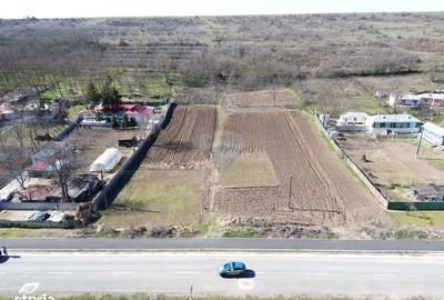 Teren de 5313 mp, în Vânători