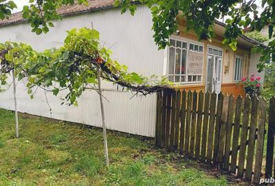 Vand casa in Li?na. Com Suharau jud. BT - 4
