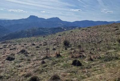 Teren de 30209 mp, în Groșuri - 2