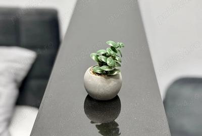 Garsonieră decomandată în Chiajna - 1