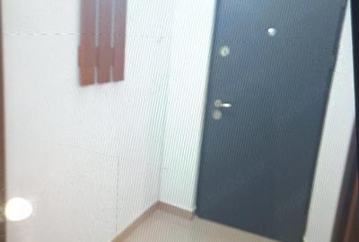Apartament cu 2 camere semidecomandat în Craiovița Nouă - 2
