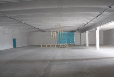 SPATIU INDUSTRIAL - HALA | LES | BIHOR - 2