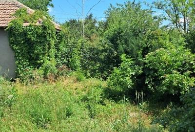 Casă individuală cu 3 camere cu Teren 1000 Mp în Plumbuita - 6