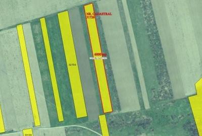 Teren agricol 2.6ha, Tulcea, Valea Nucărilor - 4