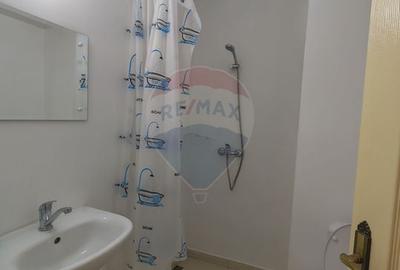 Hotel/Pensiune, de 270 mp, în Baia de Fier - 18