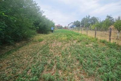 Teren intravilan, cu priveliște spre pădure – Vălenii de Munte - 12