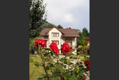 House for sale in Sângeorz Băi, Bistrița Năsăud - 2