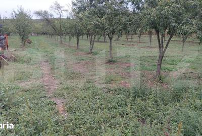 Casă cu 6 camere cu Teren 873 Mp în Tătărani - 2