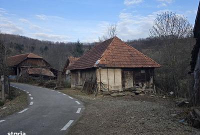 Casă cu 2 camere cu Teren 27263 Mp în Hălmagiu - 4