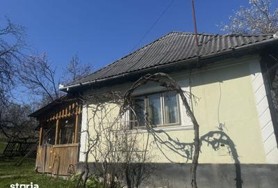 Casă cu 3 camere cu Teren 3500 Mp în Băița - 2