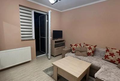 Garsoniera Turnisor Frunzei - 4