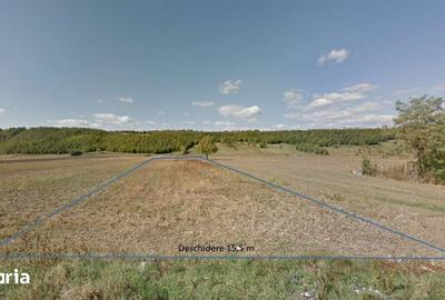 Teren de 2547 mp, în Vălenii de Munte - 5