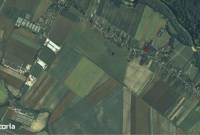 Spațiu comercial, în Căteasca - 6