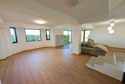 Duplex cu 3 camere cu Teren 385 Mp în Clinceni - 17