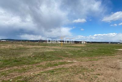 Teren Construcții intravilan de 900 mp, în Dumbrava Roșie - 1