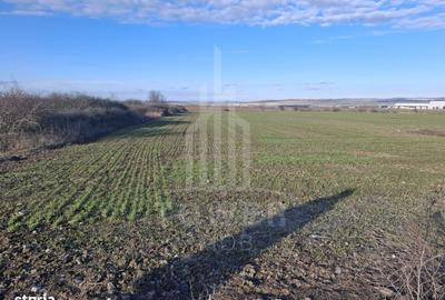 Spațiu comercial, în Cristian - 10