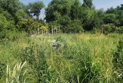 Casa individuala cu gradina frumoasa, teren mare Moldovenesti-Cluj - 22