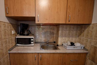 Apartament cu 2 camere de inchiriat in zona Ultracentral - 7