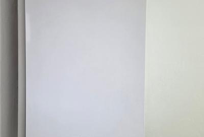 Apartament cu 2 camere semidecomandat în Adjud - 3