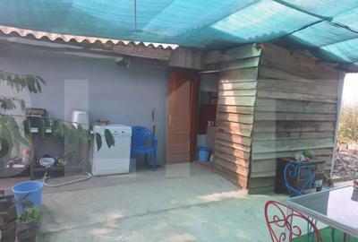 Casă cu 2 camere cu Teren 3300 Mp în Central - 4