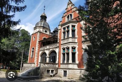 Spațiu comercial, de 107,000 mp, în Dofteana