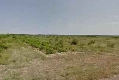 Teren de 6390 mp, în Cernătești - 8