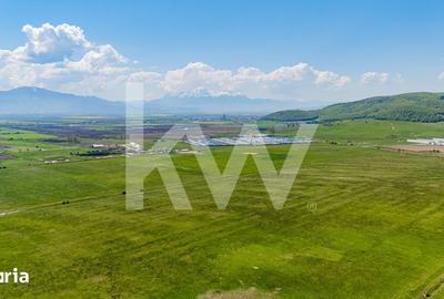 Teren de 4700 mp, în Central