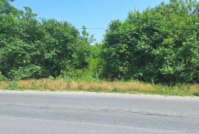 Teren în Central - 5