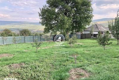 Teren de 6200 mp, în Mogoșești - 2