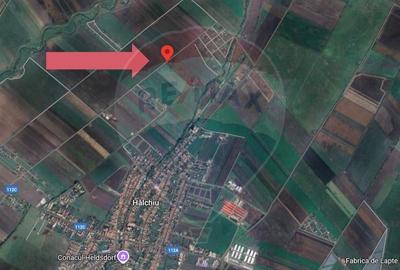 Teren 3.500 MP | Halchiu |  Jud. Brasov - 5