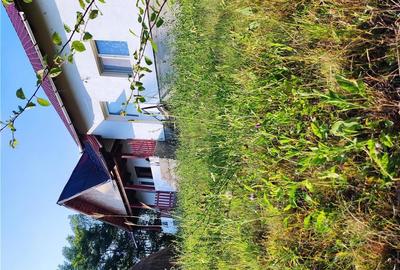 Casă cu 2 camere în Șuici - 7