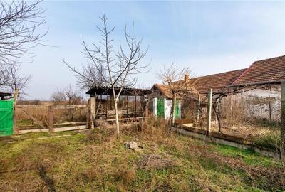 RECO Casa cu teren 3036mp, Bors - 3