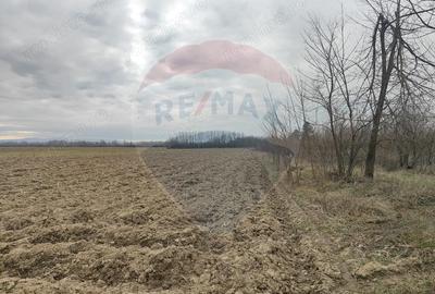 Teren de 12193 mp, în Jena