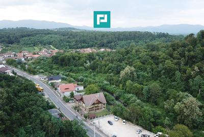 Teren Construcții intravilan de 13861 mp, în Est - 7