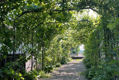 Casă cu 5 camere cu Teren 1321 Mp în Central - 5