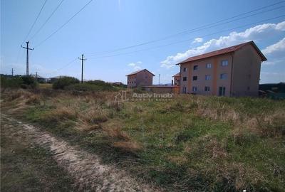 Teren de 1187 mp, în Caransebeș - 1