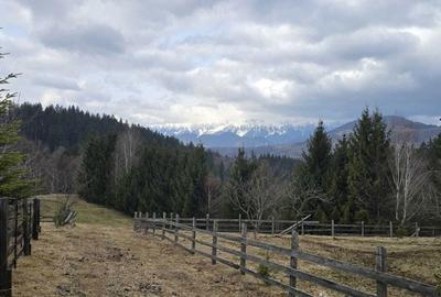 Teren de 3040 mp, în Bran - 5