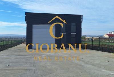 Hala de vanzare in Racari de Jos - 2